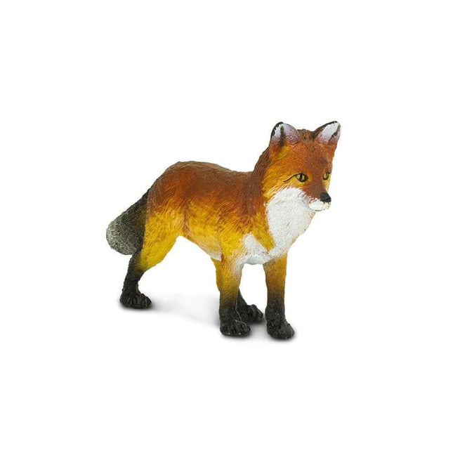 WSW Fox