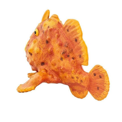 IC Frogfish XXX