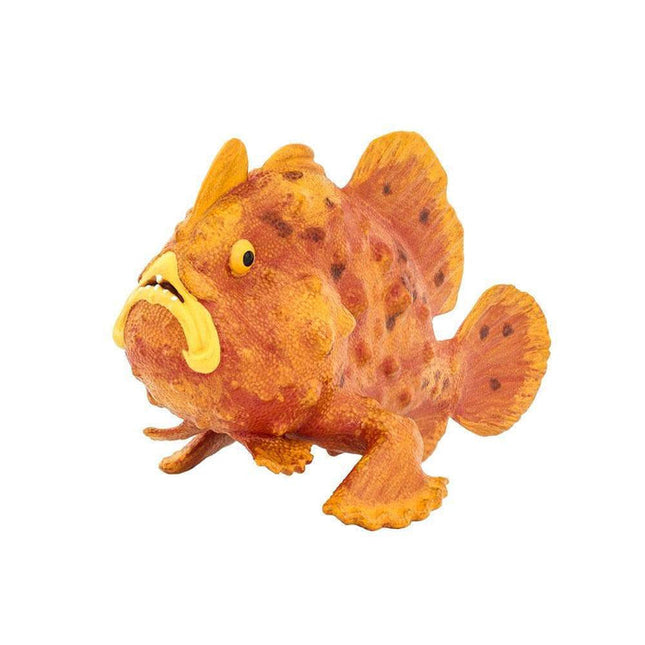 IC Frogfish XXX