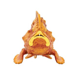 IC Frogfish