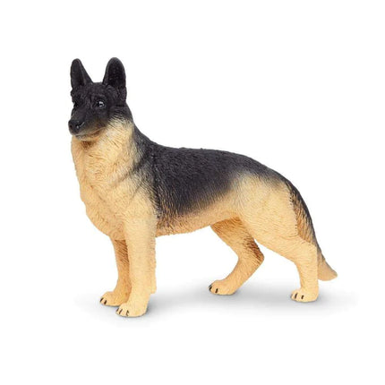 WSP German Shepard