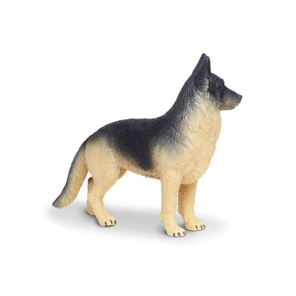 WSP German Shepard