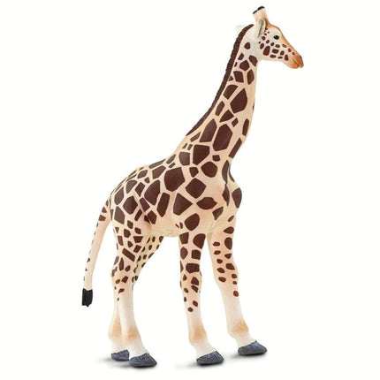 WSW Giraffe