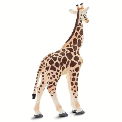 WSW Giraffe