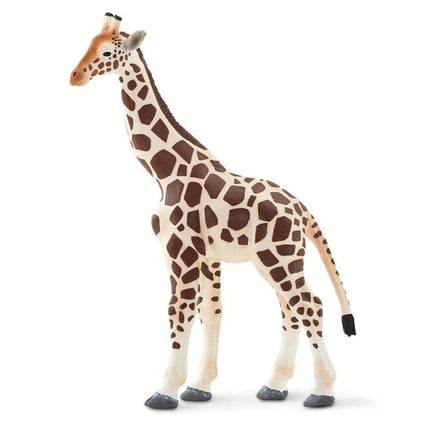 WSW Giraffe