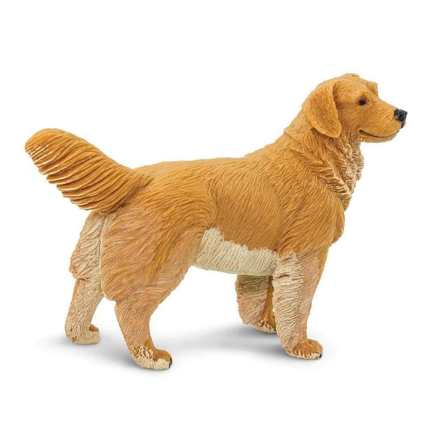 WSP Golden Retriever