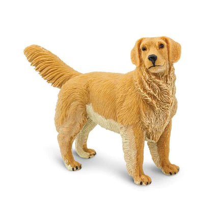 WSP Golden Retriever