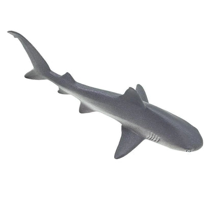 WSS Grey Reef Shark