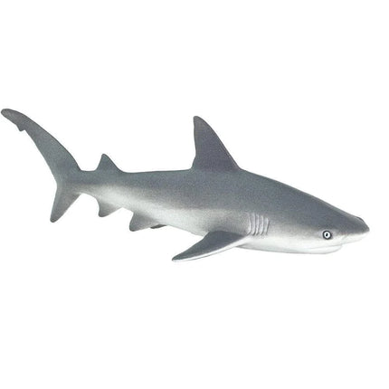 WSS Grey Reef Shark