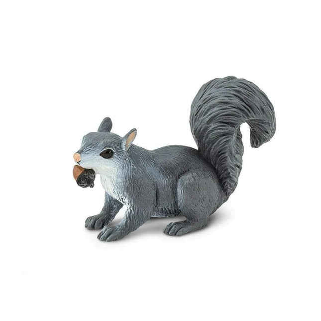 WSW Grey Squirrel