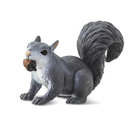 WSW Grey Squirrel