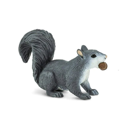 WSW Grey Squirrel