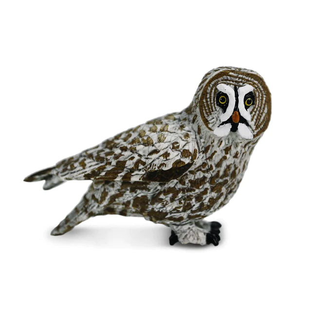 WSB Great Grey Owl