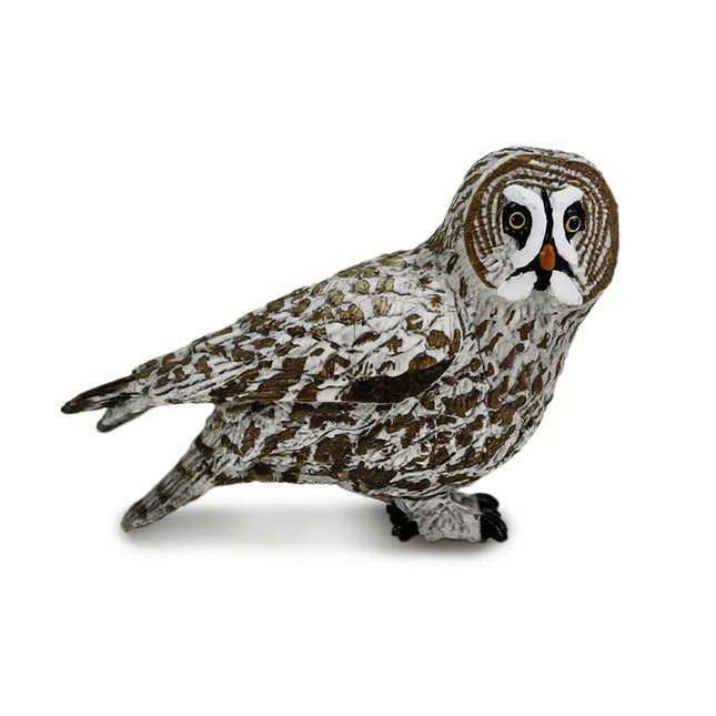 WSB Great Grey Owl