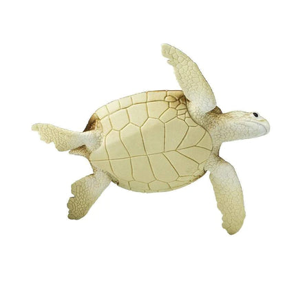 WSS Green Sea Turtle