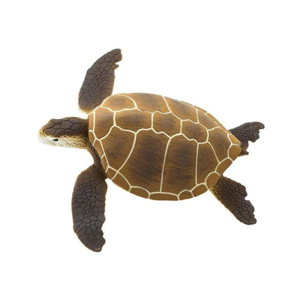 WSS Green Sea Turtle