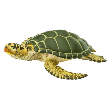 WSS Green Sea Turtle II