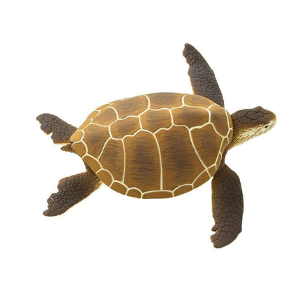 WSS Green Sea Turtle