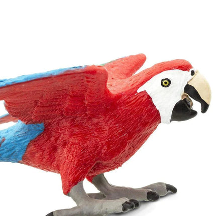 WSB Green Winged Macaw