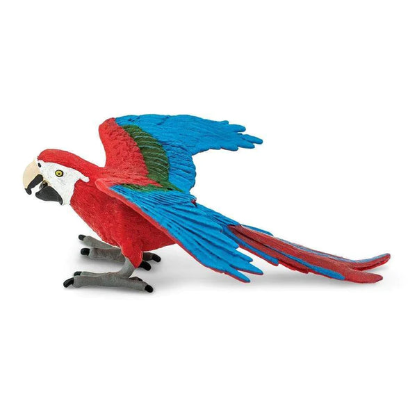 WSB Green Winged Macaw
