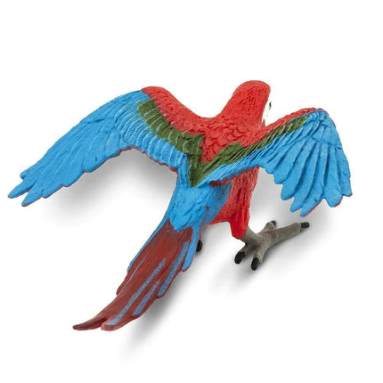 WSB Green Winged Macaw