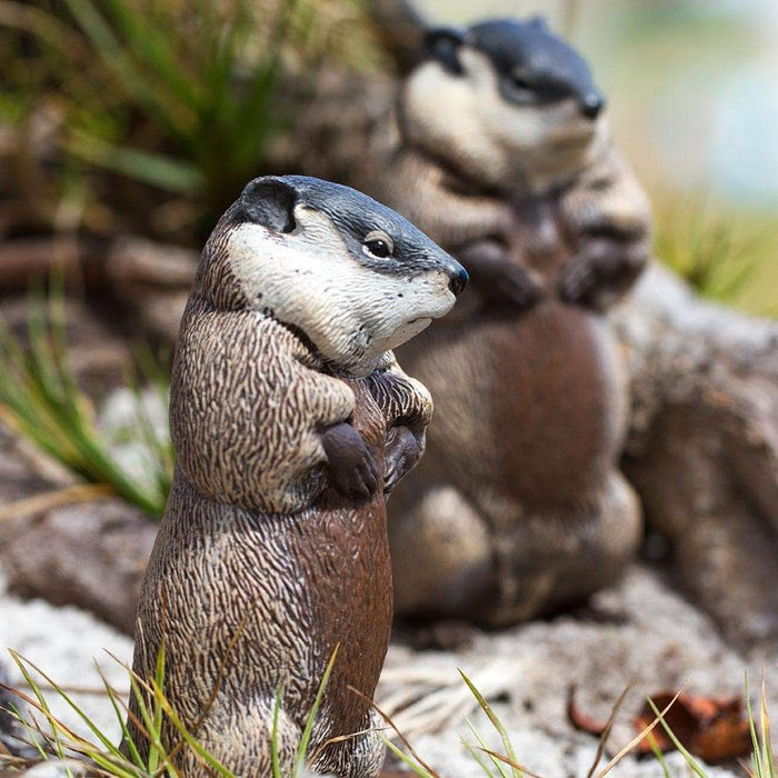 IC Groundhog – The Zoo Company Toy Store
