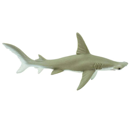 WSS Hammerhead shark