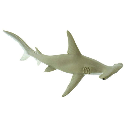 WSS Hammerhead shark