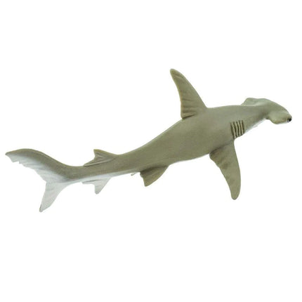 WSS Hammerhead shark