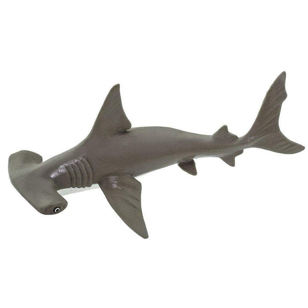 IC Hammerhead Shark baby XXX