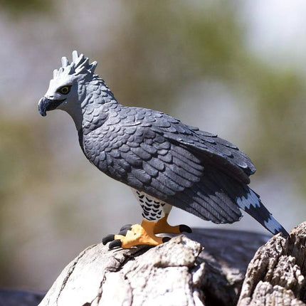 WSB Harpy Eagle