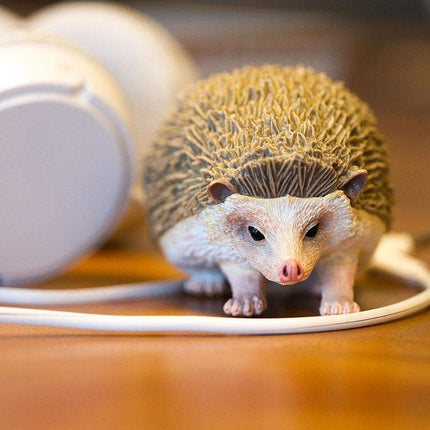 IC Hedgehog