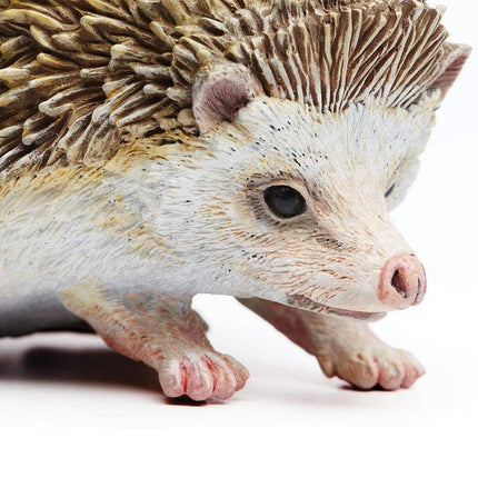 IC Hedgehog