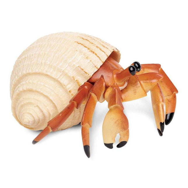 IC Hermit Crab