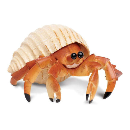 IC Hermit Crab