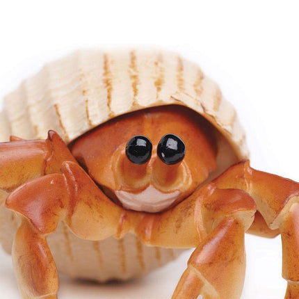 IC Hermit Crab