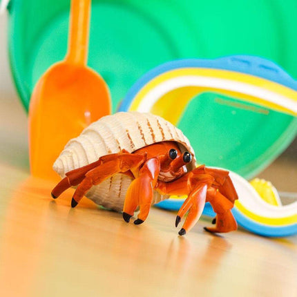 IC Hermit Crab