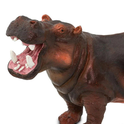 WSW Hippopotamus