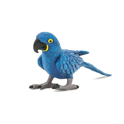 WSB Hyacinth Macaw