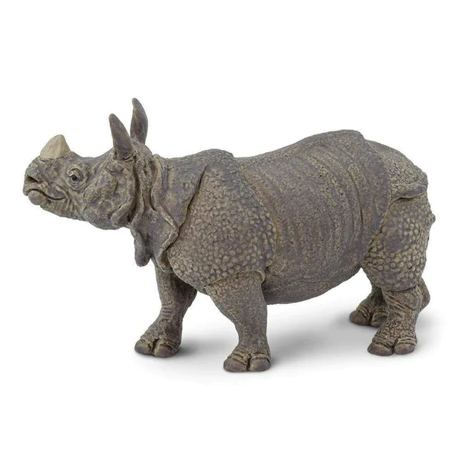 WSW Indian Rhino