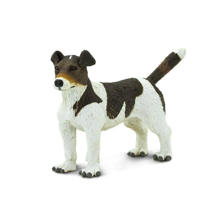 WSP Jack Russell Terrier