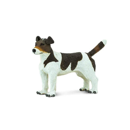 WSP Jack Russell Terrier