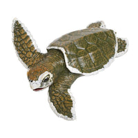 IC Kemps Ridley Sea Turtle Baby