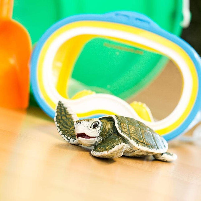 IC Kemps Ridley Sea Turtle Baby