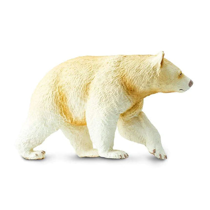 WSW Kermode Bear