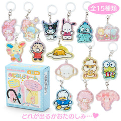 Collection image for: Sanrio Figurines & Blind Boxes