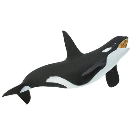 WSS Killer Whale