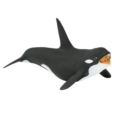 WSS Killer Whale