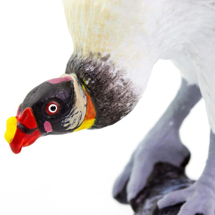 WSB King Vulture