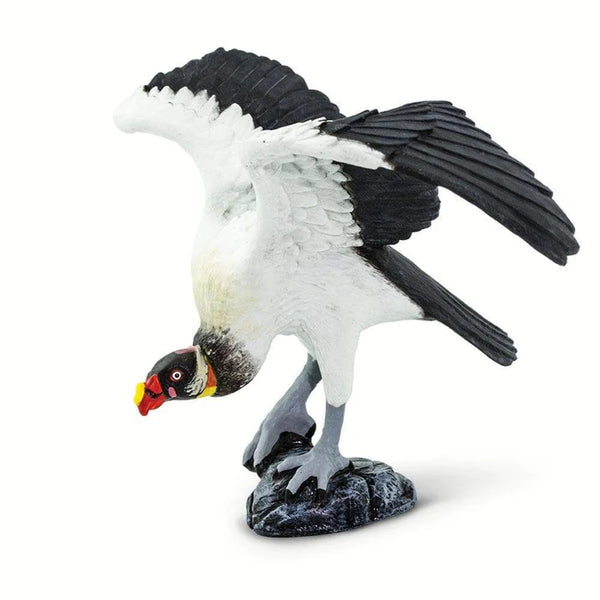 WSB King Vulture